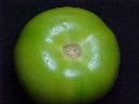Green tomato