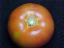 Red tomato